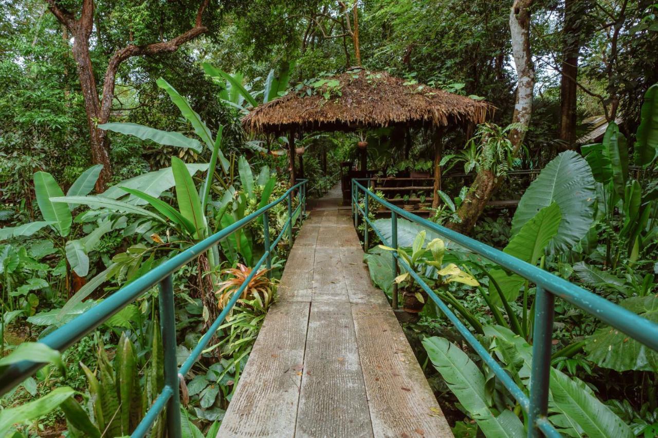 Khao Sok Riverside Cottages Khao Sok National Park Exterior photo