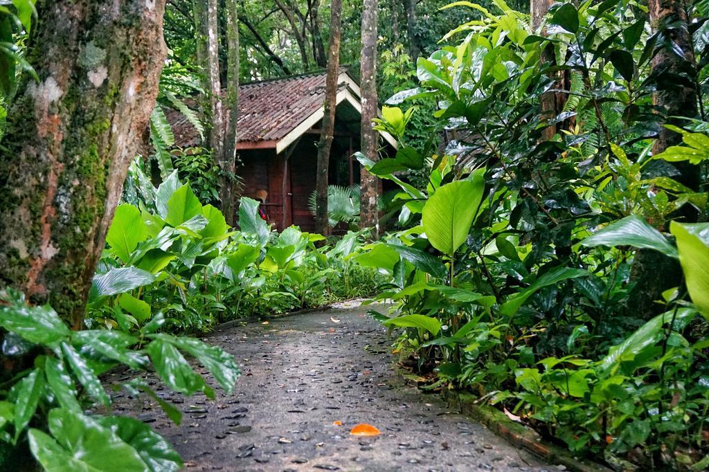 Khao Sok Riverside Cottages Khao Sok National Park Exterior photo