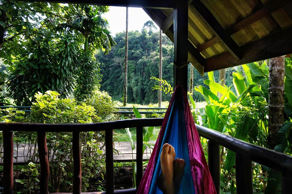 Khao Sok Riverside Cottages Khao Sok National Park Exterior photo