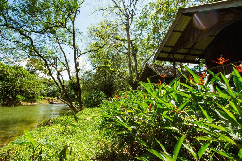 Khao Sok Riverside Cottages Khao Sok National Park Exterior photo