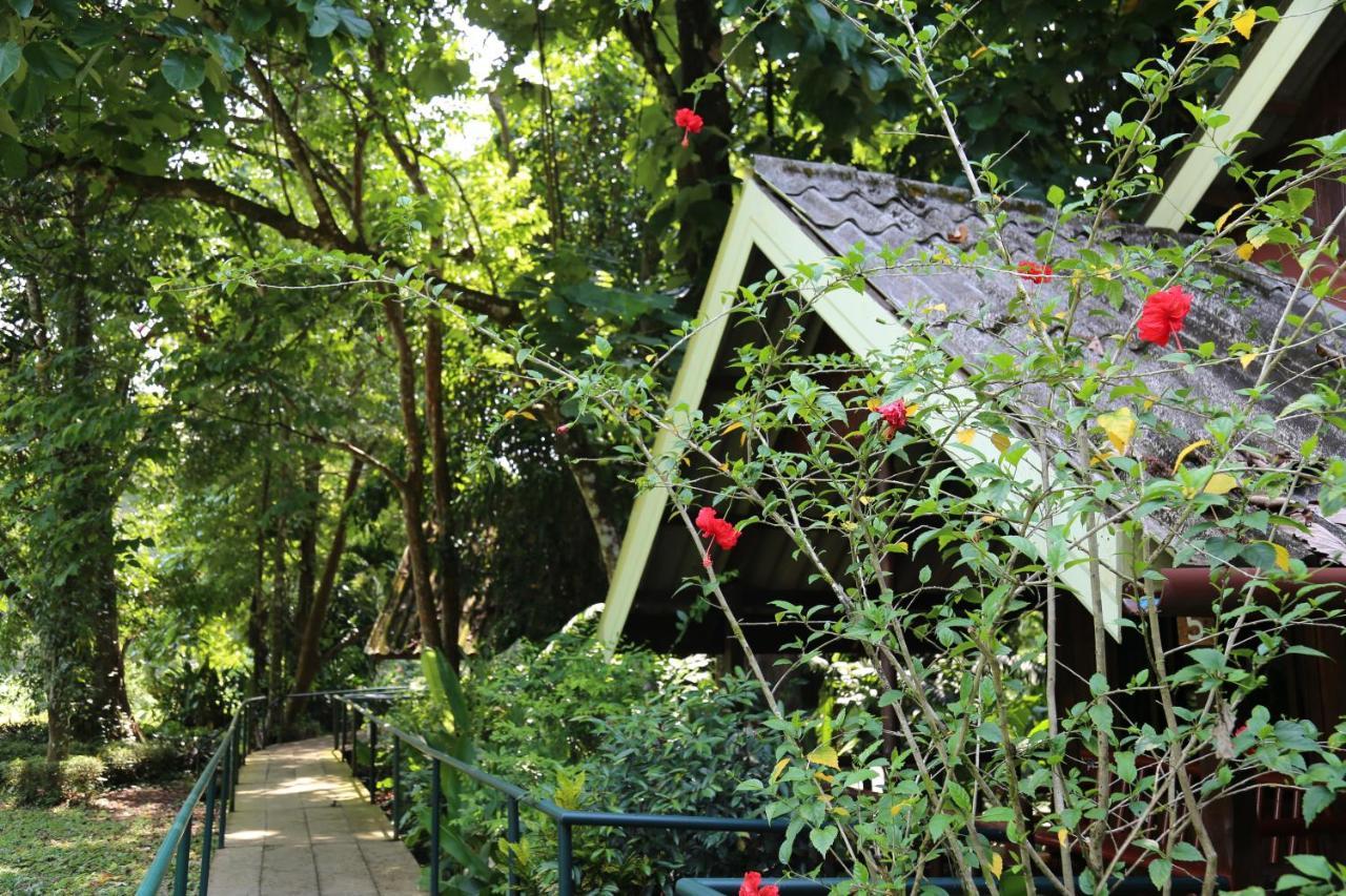 Khao Sok Riverside Cottages Khao Sok National Park Exterior photo